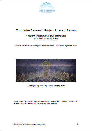 Download the report of the first phase of the turquoise research project